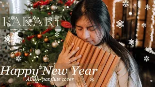 Pakari - Happy New Year (Instrumental) [Panflute Cover]