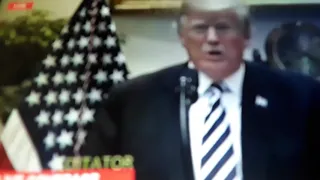 BITCH LASAGNA VOVER BY DONALD TRUMP