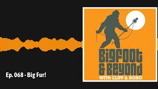 Ep. 068 - Big Fur! | Bigfoot and Beyond with Cliff and Bobo