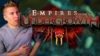 Empires of the Undergrowth [Ant Colony RTS PC Game] Let's Play Empires of the Undergrowth Gameplay