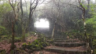 The Stairway to Heaven - The Fog that Day felt like a Dream