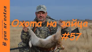 Охота на зайца. Выпуск № 57 18+