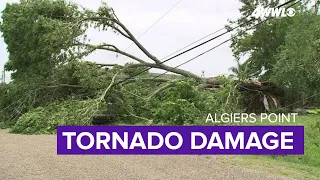 Tornado knocks out power, rips up trees in Algiers