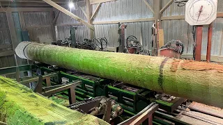 Sawmilling a Red Oak 22 Foot Long 14x14 #34