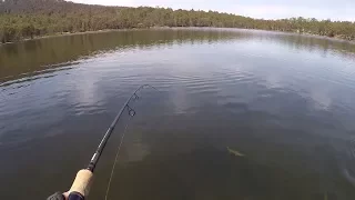 Ultralight Trout Fishing Over Flats. Pine Tier Lagoon.