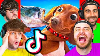 TRY NOT TO LAUGH CHALLENGE ( Funny TikTok Animals)