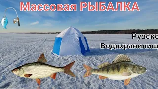 Массовая РЫБАЛКА на Окуня,Леща и Плотву на Рузском Водохранилище!🔥18.03.2023🔥 Глухозимье не ушло🙄