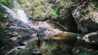 Exploring Remote Trout Stream in the Appalachian Backcountry | Backpacking & Fly Fishing