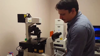 Confocal Microscopy Tutorial (Part 1): Getting Started - Basic Operation