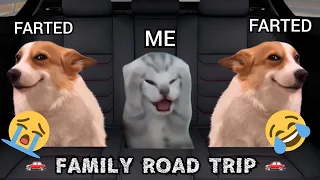 Family Road Trip  [Cat meme] beach ⛱️ 😎  mountains ⛰️ 😀