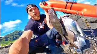 Smashing Aholehole / Tried New Dive Spot / Spearfishing Hawaii Vlog Catch N Cook