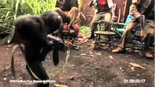 Обезьяна с автоматом [ Monkey with AK-47 ]