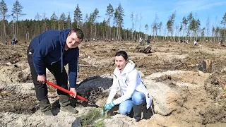 Более тысячи луховичан поучаствовали в акции "Лес Победы"