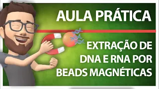 Extração de DNA e RNA por beads magnéticas