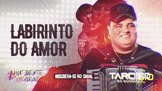 LABIRINTO DO AMOR -Tarcísio Do Acordeon / CD Diferente Dos Iguais 2021 (ÁudioOficial)