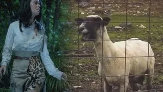 Katy Perry - Roar (Goat Remix)