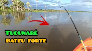 TUCUNARÉ BATEU FORTE NA VARINHA 12 LIBRAS