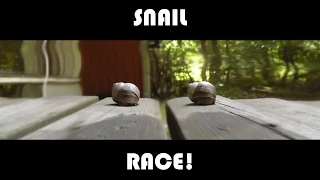 Snail Race | short film