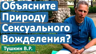 ОБЪЯСНИТЕ ПРИРОДУ СЕКСУАЛЬНОГО ВОЖДЕЛЕНИЯ? • ВАСИЛИЙ ТУШКИН