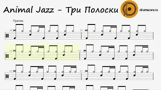 Animal Jazz - Три Полоски (ноты для барабанов)