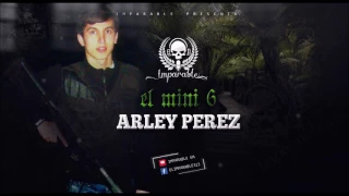 Arley Perez | El Mini 6