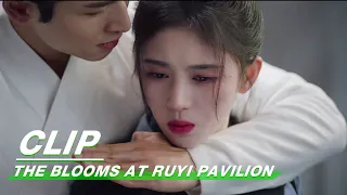 Clip: Ju Jingyi Is Caught When Peeking | The Blooms At RUYI Pavilion EP02 | 如意芳霏 | iQIYI