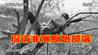 【探秘非洲狩猎部落】我花了1000块，请人带我去寻找，非洲最后的原始部落！