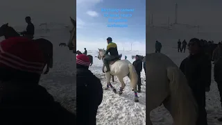 29.01.2023ж Қазығұрт атшабары Жорабек Ақбаев шабандоз Полковник атты тұлпармен