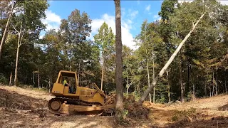 Clearing Trees for Pond Project - First time running this Bulldozer!