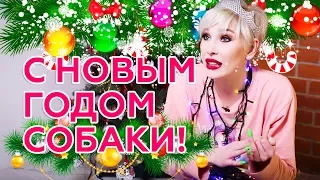 С НОВЫМ ГОДОМ, ПОДПИСЕИ!