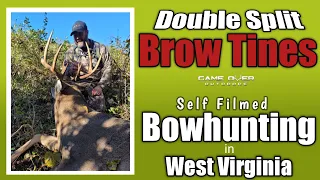 Double Split Brow Tines - Self Filmed Archery in The Mountain State