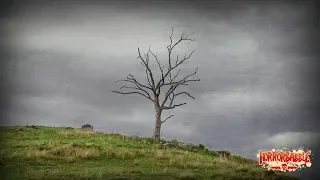 "The Tree on the Hill" by H. P. Lovecraft / A HorrorBabble Production