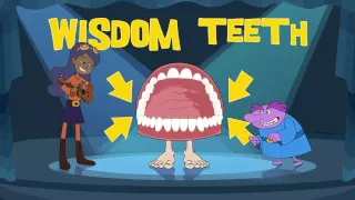 How Your Teeth Work