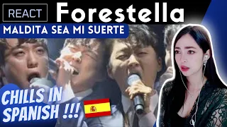 FORESTELLA ( 포레스텔라 ) Maldita Sea Mi Suerte에 대한 반응