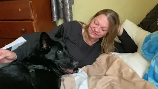 Abused dog gets new home