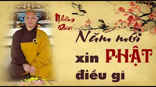 Pháp thoại: NĂM MỚI XIN PHẬT ĐIỀU GÌ | Thầy Trí Chơn - Lễ Thượng Nguyên, xuân Nhâm Dần