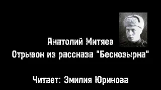 Год лейтенантской прозы. 100 лет со дня рождения Анатолия Митяева