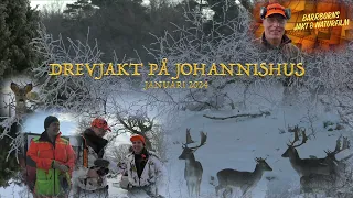 Drevjakt på Johannishus Januari 2024