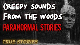 20 True Paranormal Stories | Creepy Sounds From The Woods | Paranormal M