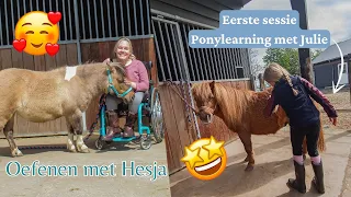 TWEE Ponylearning sessies & trainen met Hesja en Ginger | Horse & Behaviour