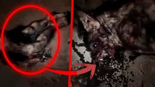 THE MOST SHOCKING EVIDENCE OF A WEREWOLF - Solved Case