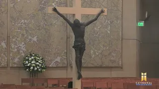 The Solemnity of the Most Holy Body and Blood of Christ - Corpus Christi