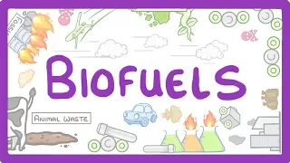 GCSE Physics - Biofuels  #12