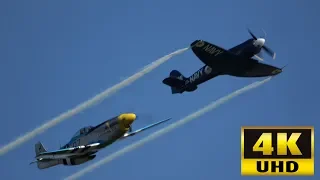 P-51 Mustang vs. Sea Fury - A Comparison