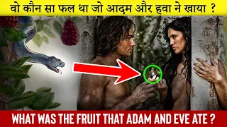 वो कौन सा फल था जो आदम और हवा ने खाया ? 🥭What was the fruit that Adam and Eve ate ?🍎