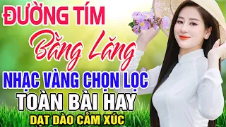 ĐƯỜNG TÍM BẰNG LĂNG - Mỹ Hạnh | LK Song Ca Rumba Bolero Nhạc Vàng Xưa Mới Nhất 2024 TOÀN BÀI HAY