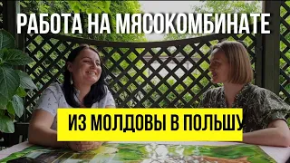 Честно о работе на мясокомбинате и переезде в Польшу.