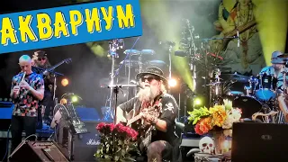 "АКВАРИУМ" и БГ, концерт в ДК им Горбунова / Москва 22.12.2019г