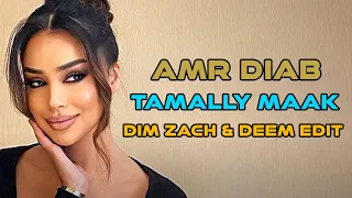 💘💘💘 Amr Diab - Tamally Maak - Dim Zach & Deem edit (music video)