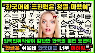 "한국어의 표현력은 정말 미쳤어"  외국인유학생이 감탄한 한국의 미친 표현력!